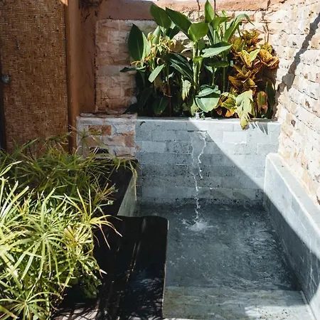 Luxury Wild Jungle Eco Villa Next To Cotillo
