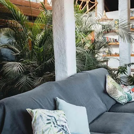 Luxury Wild Jungle Eco Villa Next To Cotillo Villa Roque