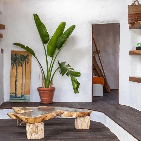Luxury Wild Jungle Eco Villa Next To Cotillo *