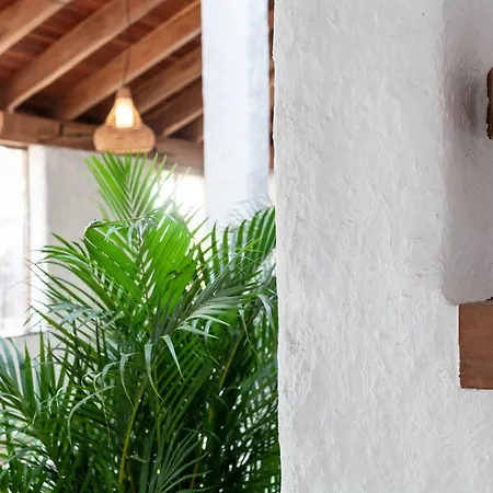 Luxury Wild Jungle Eco Villa Next To Cotillo * Roque