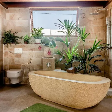 Luxury Wild Jungle Eco Villa Next To Cotillo